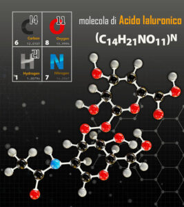 La molecola dell'Acido Ialuronico: composta da carbonio, ossigeno, idrogeno e nitrogeno.